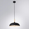 Миниатюра фото подвесной светильник arte lamp kayla a7099sp-1bk | 220svet.ru